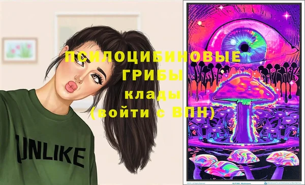винт Абаза