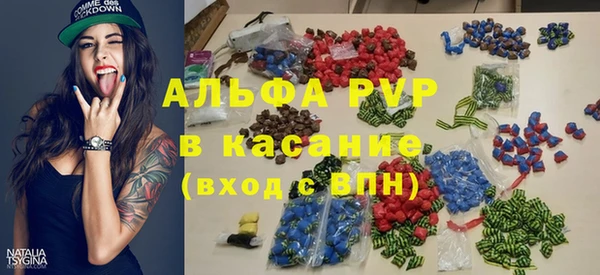 винт Абаза