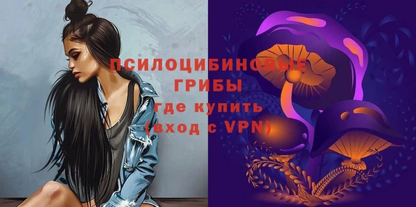 винт Абаза