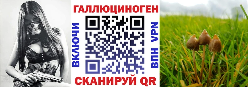 Галлюциногенные грибы GOLDEN TEACHER  Зеленодольск 