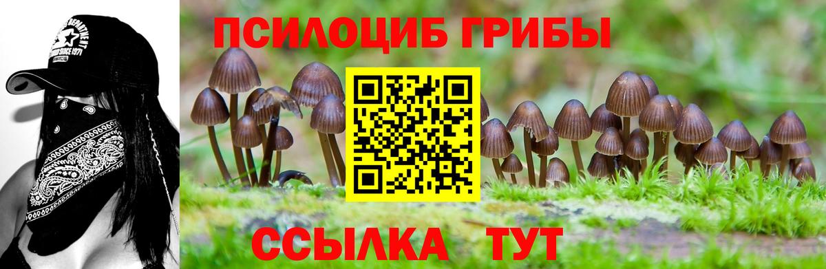 Псилоцибиновые грибы Cubensis  Вход с VPN  Зеленодольск 